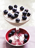 Blueberry cream in dessert glass