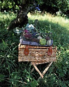 Picknick-Koffer und Gemüsekorb   auf  Klappstuhl