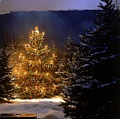 Leuchtender Weihnachtsbaum im Schnee 