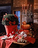 Weihnachtlich dekorierter Tisch: Kürbisse und Teeservice