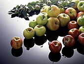 Viele Äpfel (grüne und rote) liegen dekorativ auf schwarzer Glasplatte
