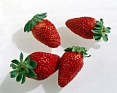 Vier ganze Erdbeeren freigestellt 