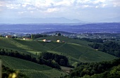 Blick über das Hügelland das Sausal Österreich / Steiermark