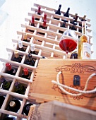 Rotweinglas von schraeg unten fotografiert. Hintergrund: Weinregal