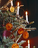 Close-up of Christmas tree decorated with dried orange slices and lit candle