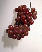 Rote Weintrauben freigestellt 