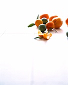 Various citrus fruits on white background