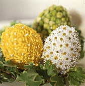 Drei zarte Blüten-Eier (Gelb, weiß, grün)