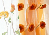 Close-up of curtains with floral print and silk gerberas