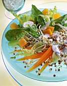 Möhren-Sprossen-Salat mit Porree, Zwiebeln und Mungobohnensprossen
