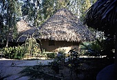 Runde Lehmhütte inmitten tropischer Vegetation