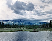 Alaska,Landschaft,Wasser,Bäume und Berge