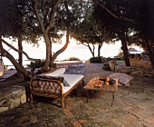 Meerblick v. d. Terrasse mit Pinien u. Olivenbäumen, Rattansofa