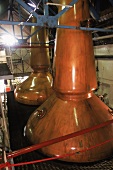 Pot Stills,kupferne Brennblasen für Whisky in Destillerie Ardbeg