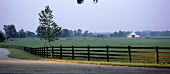 Landschaftspanorama im Staat Kentucky