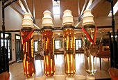 Proben der Reifephasen von Bourbon in Labrot+Graham-Distillery