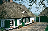 Alte Bauernkate mit Reetdach (grün gestrichene Fensterläden+Türen)