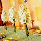 Clustered white sweet peas in champagne flutes