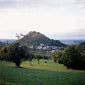 Festung Ferrette im Elsaß und Apfelgärten des Sundgau