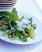 Römersalat mit grünem Spargel, Zitro Dressing, parmesan u. Pinienkernen