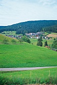 Das Tonbachtal mit dem Hotel "Traube-Tonbach" bei Baiersbronn