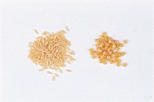 Nudelsorten - Risone Reiskornähnlich und Ditali Röhrennudeln