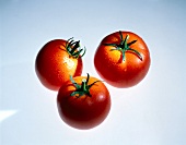 Three cheery tomatoes with water drops on white background