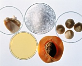 Zutaten für ein Körperpeeling: Oel, Sheabutter,Meersalz, Aprikose