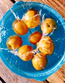 Oranges falling in bucket full of water on wood