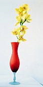 rote Vase im 50er Jahre Stil, gelbe Orchidee