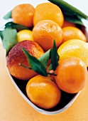 Orangen und Zitronen in einer Schale close-up
