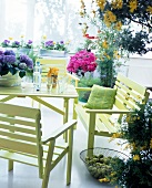 Green chairs and table with glass and bottle in terrace garden