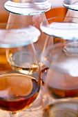 Close-up of whiskey in snifter with glass cover