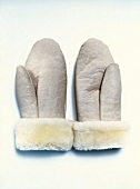 Close-up of sheepskin mittens on white background