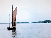 Zeesenboot (typisches Fischerboot) auf dem Saaler Bodden, Ostsee