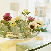 In einer flachen Glasschale stecken Blüten zwischen Glaskugeln