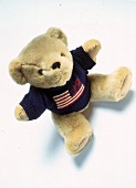 Hellbrauner Teddybär mit einem Origi nal Ralph-Lauren-Pullover