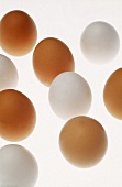 Braune und weiße Eier auf einem scheinenden Untergrund - Still