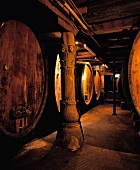 Large wooden barrels in wine cellar of Marc Kreydenweiss in Andlau, France