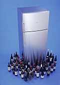 Kühl-Gefrier-Automat von Siemens aus Edelstahl & 50 Weinflaschen