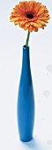 Blaue schlanke Vase mit einer Blume 