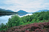 Der See Loch Fyne in den westlichen Highlands