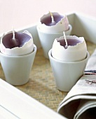 Close-up of purple candles in egg shells