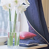 Blauer Wollvorhang mit gesteppter Taftseite, Kissen + Amaryllis