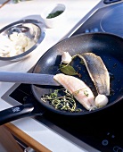 Close-up of a fish being fried in a pan