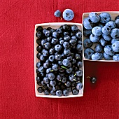 Heidelbeeren in einer Schale,close up