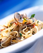 Close-up of tagliolini with shells on plate