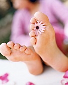 Ansicht zweier Füße, Blüte klemmt zwischen zwei Zehen