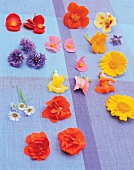 Blüten-Potpourri auf einer farbigen Tischdecke