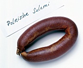 Polish salami on white background